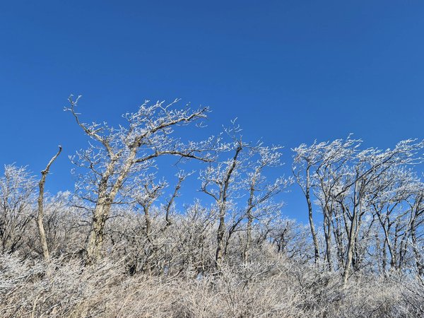 Le régime anticellulite : entre perte de poids et amélioration de la peau